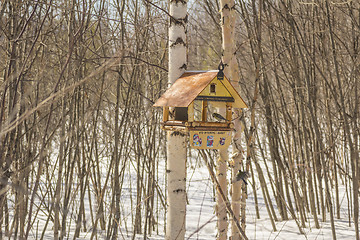 Image showing Feeders for birds   