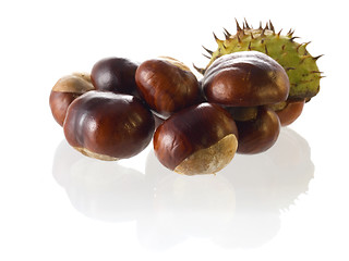 Image showing chestnut