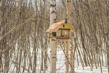 Image showing Feeders for birds   