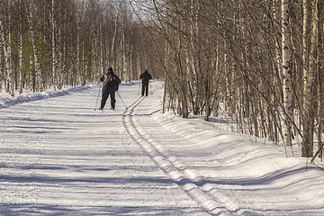 Image showing Healthy lifestyle