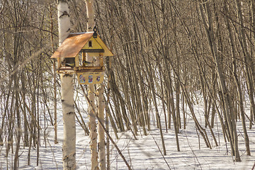 Image showing Feeders for birds   