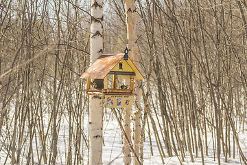 Image showing Feeders for birds   