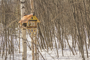 Image showing Feeders for birds   