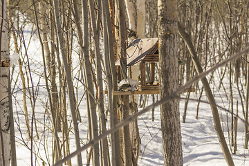 Image showing Feeders for birds   