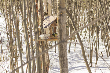 Image showing Feeders for birds   