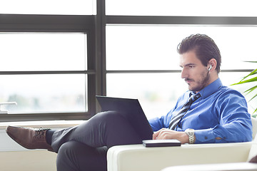 Image showing Businessman in office working on his laptop. 