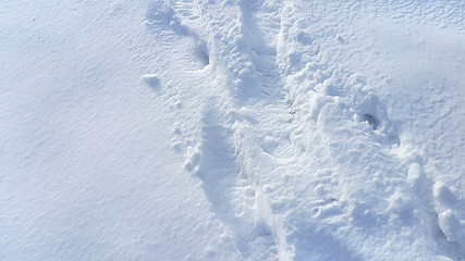 Image showing Footsteps on the snow