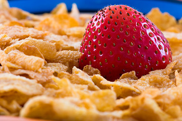 Image showing Corn Flakes and Strawberries - Close up