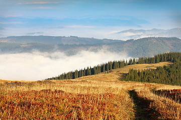 Image showing giumalau mountain landscape