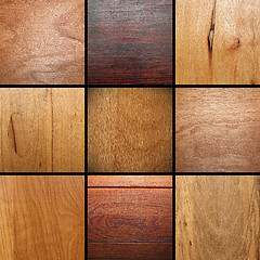 Image showing real wood veneer collage