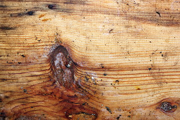 Image showing dirty spruce plank texture 