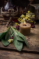 Image showing medicinal herb and burning candle