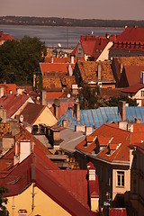 Image showing EUROPE ESTONIA TALLINN 