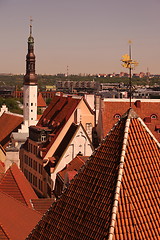 Image showing EUROPE ESTONIA TALLINN 