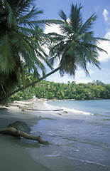 Image showing AMERICA CARIBBIAN SEA DOMINICAN REPUBLIC