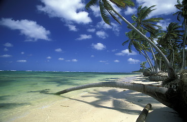 Image showing AMERICA CARIBBIAN SEA DOMINICAN REPUBLIC