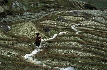 Image showing ASIA CHINA  GUANGXI LONGSHENG 