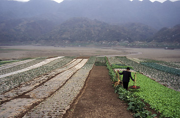 Image showing ASIA CHINA YANGZI RIVER