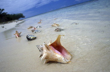 Image showing AMERICA CARIBBIAN SEA DOMINICAN REPUBLIC