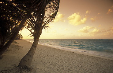 Image showing AMERICA CARIBBIAN SEA DOMINICAN REPUBLIC