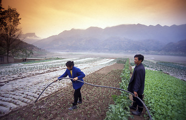 Image showing ASIA CHINA YANGZI RIVER