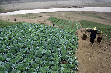 Image showing ASIA CHINA YANGZI RIVER