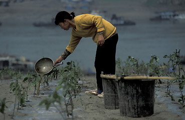 Image showing ASIA CHINA YANGZI RIVER