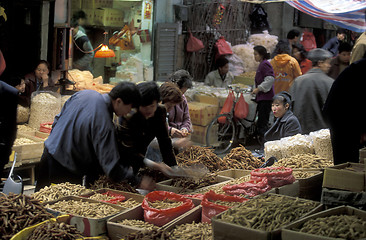 Image showing ASIA CHINA SHENZEN