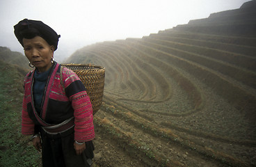 Image showing ASIA CHINA  GUANGXI LONGSHENG 