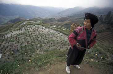 Image showing ASIA CHINA  GUANGXI LONGSHENG 