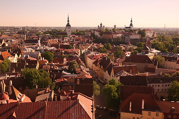 Image showing EUROPE ESTONIA TALLINN 