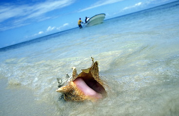 Image showing AMERICA CARIBBIAN SEA DOMINICAN REPUBLIC