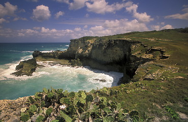 Image showing AMERICA CARIBBIAN SEA DOMINICAN REPUBLIC