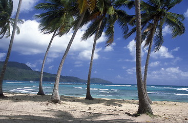 Image showing AMERICA CARIBBIAN SEA DOMINICAN REPUBLIC