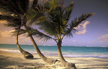 Image showing AMERICA CARIBBIAN SEA DOMINICAN REPUBLIC