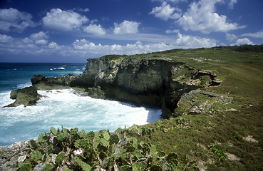 Image showing AMERICA CARIBBIAN SEA DOMINICAN REPUBLIC