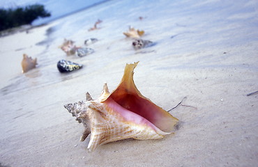 Image showing AMERICA CARIBBIAN SEA DOMINICAN REPUBLIC