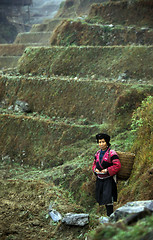 Image showing ASIA CHINA  GUANGXI LONGSHENG 