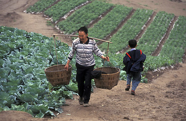 Image showing ASIA CHINA YANGZI RIVER