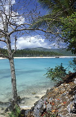 Image showing AMERICA CARIBBIAN SEA DOMINICAN REPUBLIC