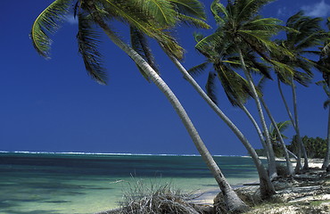 Image showing AMERICA CARIBBIAN SEA DOMINICAN REPUBLIC