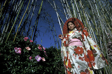 Image showing ASIA CHINA YUNNAN