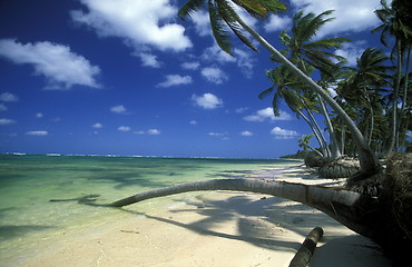 Image showing AMERICA CARIBBIAN SEA DOMINICAN REPUBLIC