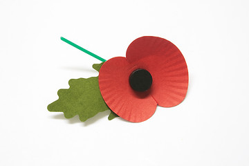 Image showing poppy