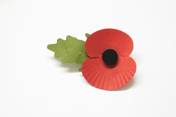 Image showing poppy