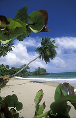 Image showing AMERICA CARIBBIAN SEA DOMINICAN REPUBLIC