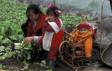 Image showing ASIA CHINA YANGZI RIVER