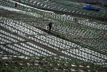 Image showing ASIA CHINA YANGZI RIVER