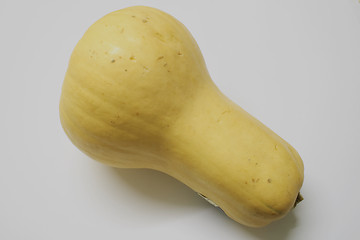 Image showing butternut squash