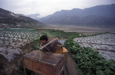 Image showing ASIA CHINA YANGZI RIVER